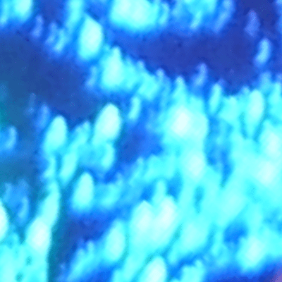 Luceのジャケット写真