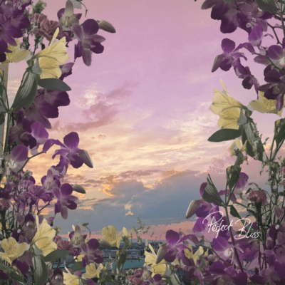 Perfect Bliss Front Cover