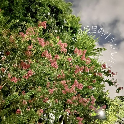 4.6billionth time parallel parallel summer time Front Cover