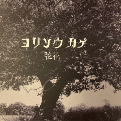 ヨリソウカゲ 弦花のジャケット写真