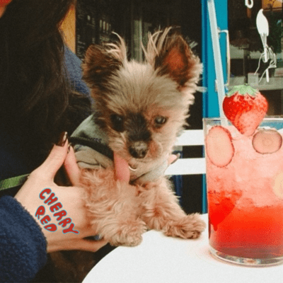 cherry redのジャケット写真