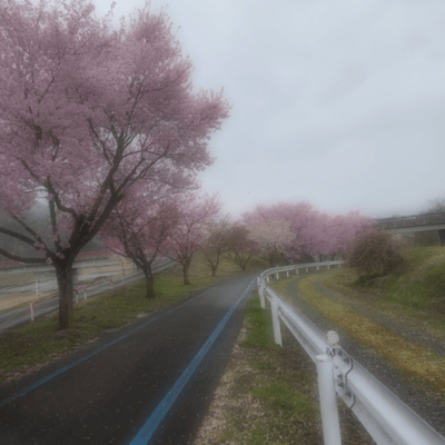 gu!!!のジャケット写真