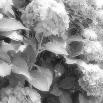 Lies and delusions (feat. Ungifted & KAFU) Front Cover