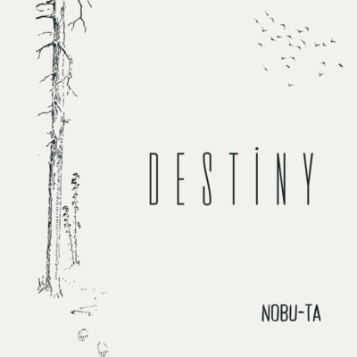 Destiny Front Cover