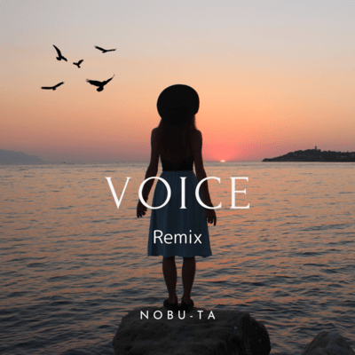 VOICE (Remix) Front Cover