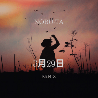 5月29日 (Remix)のジャケット写真