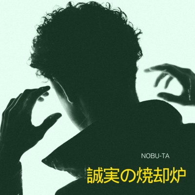 Burn the Sincerity Front Cover