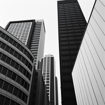 Forbidden Miracle (feat. Shi-On) Front Cover