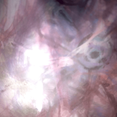 Celebiのジャケット写真