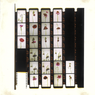 superstore... the chronicleのジャケット写真