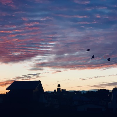 wind (feat. babibus026)のジャケット写真