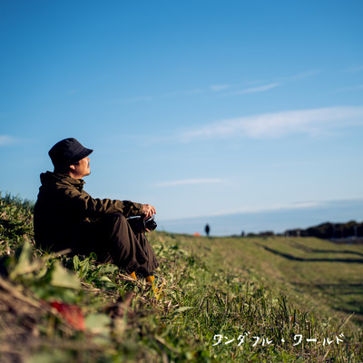 ワンダフル・ワールドのジャケット写真