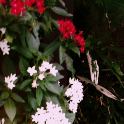 mataashita Front Cover