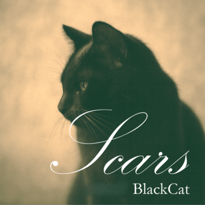 Scars Front Cover