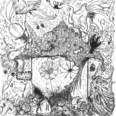 Way of Life Front Cover