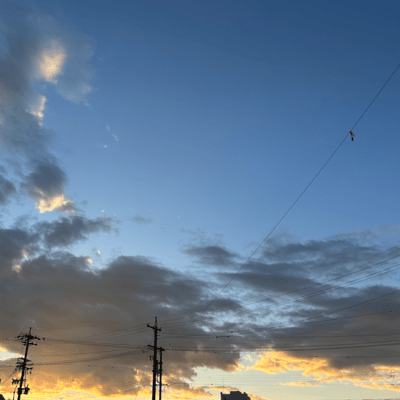 LITのジャケット写真