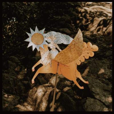 BIRD Front Cover