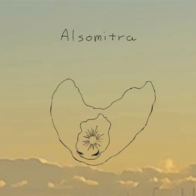 Alsomitra Front Cover