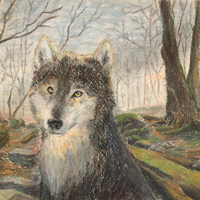 うつろいはまのジャケット写真