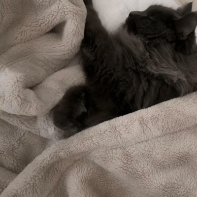 groomingのジャケット写真