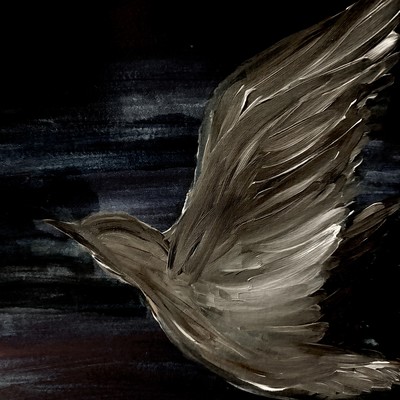 Flowers and Birds Front Cover