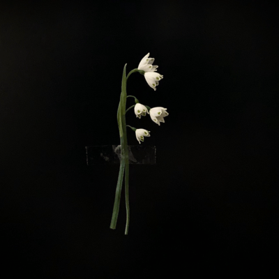 Breathing (2026 Remaster) Front Cover