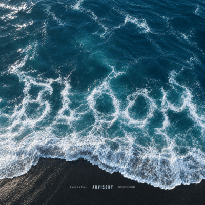 BLOOM Front Cover