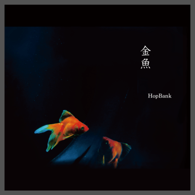 金魚のジャケット写真