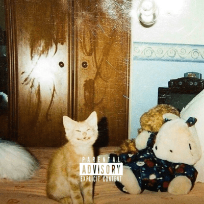 fünfzehn Front Cover