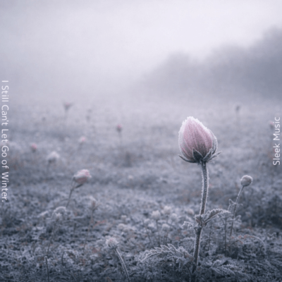 I Still Can't Let Go of Winter Front Cover