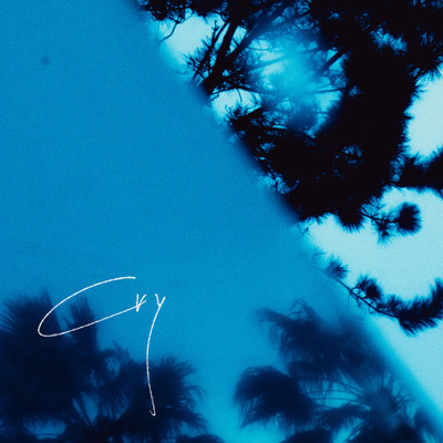 Cry Front Cover