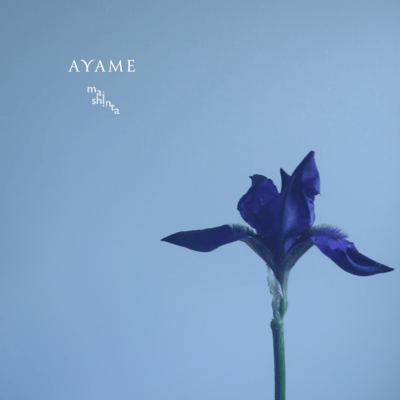 AYAMEのジャケット写真