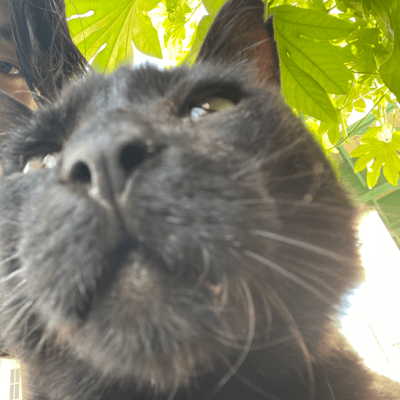 10代終わってまうのジャケット写真