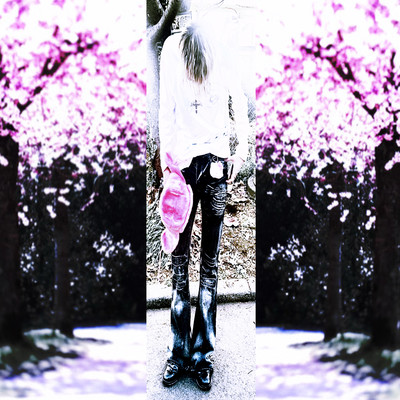 Sakura Front Cover