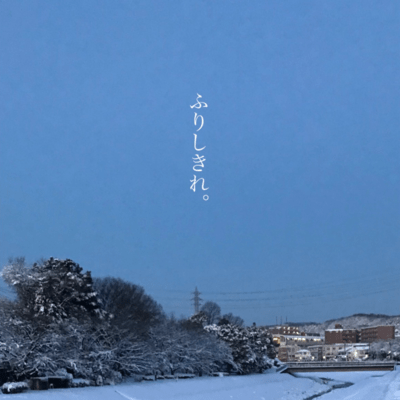 Falling snow Front Cover