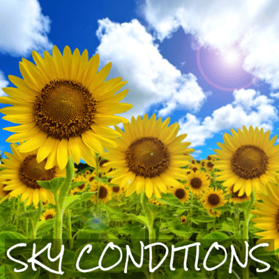 SKY CONDITIONS Front Cover