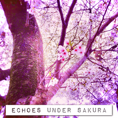 ECHOES UNDER SAKURA Front Cover