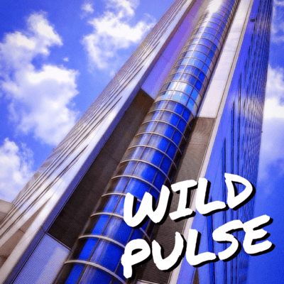 WILD PULSE Front Cover