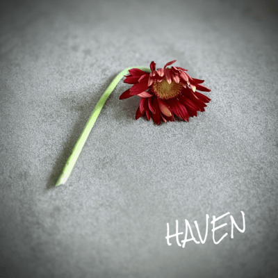 HAVEN Front Cover