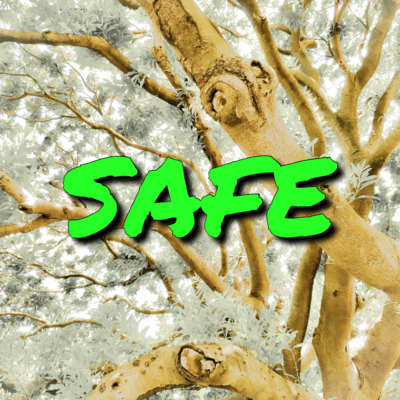 SAFEのジャケット写真