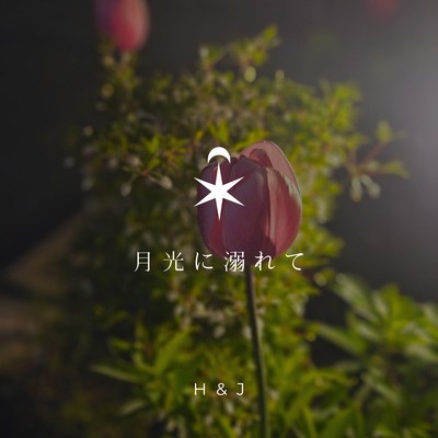 Drowning in moonlight Front Cover