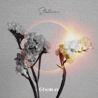 Statice Front Cover