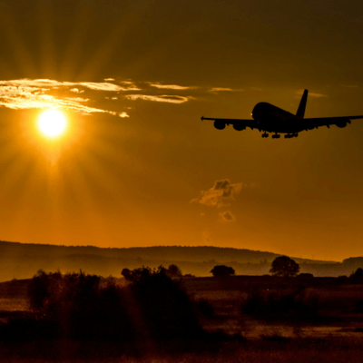 Wonderland Front Cover