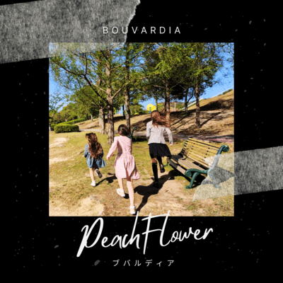 Bouvardia Front Cover