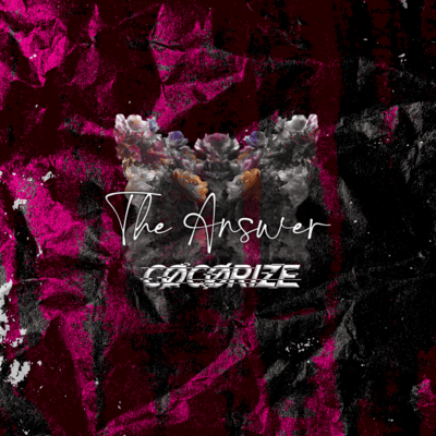 The Answerのジャケット写真