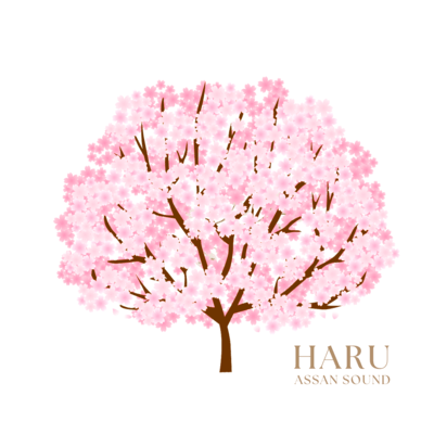 HARUのジャケット写真