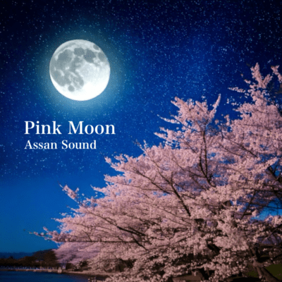 Pink Moon Front Cover