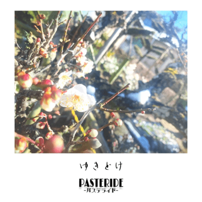 ゆきどけのジャケット写真