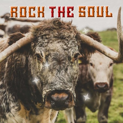 ROCK the SOUL Front Cover