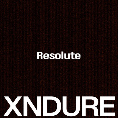 Resolute Front Cover